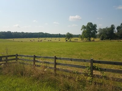 20250707_092450.jpg