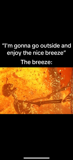 IMG_2461.png
