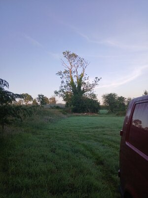 20250711_055127.jpg