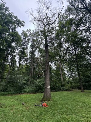 IMG_4631.jpeg