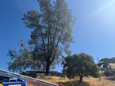 IMG_1703.jpeg