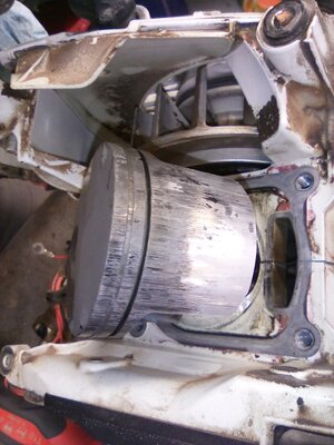 IMG_20250714_141025_944[1].jpg