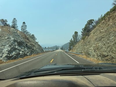 IMG_0042.jpeg