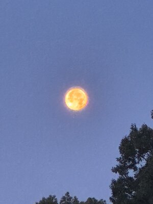 IMG_1202.jpeg