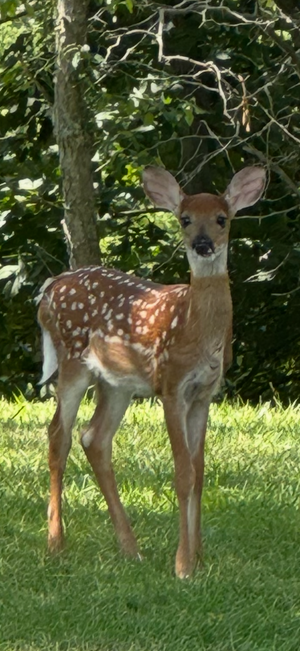 IMG_1209.png