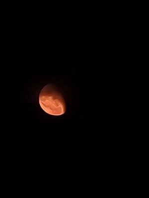 20250715_234833.jpg