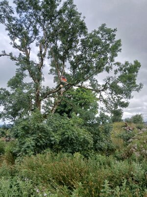 20250717_155842.jpg