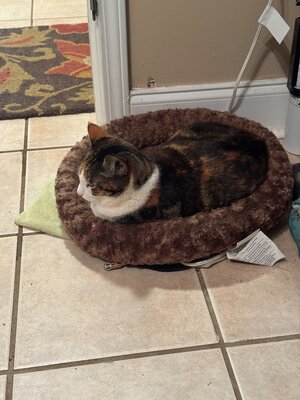 IMG_6778.jpeg