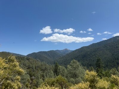 IMG_9798.jpeg