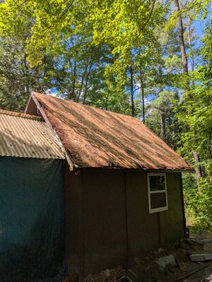 PXL_20250718_153520300.jpg