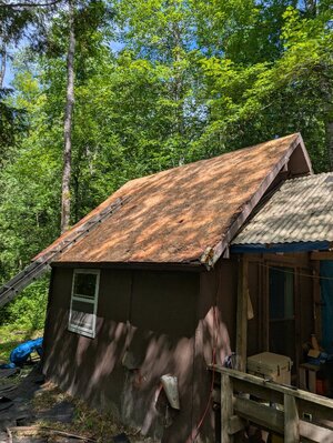 PXL_20250718_153509892.jpg