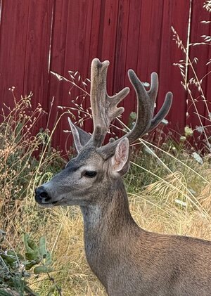 IMG_0159.jpeg