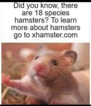 1753020943868.png