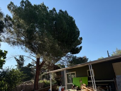 IMG_1791.jpeg