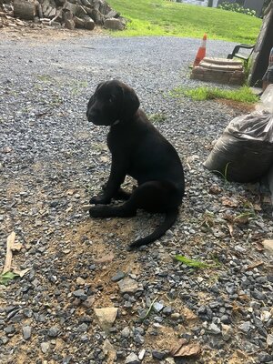 IMG_3255.jpeg