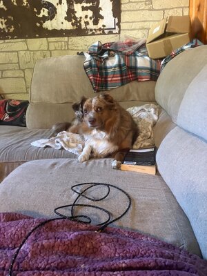 IMG_3249.jpeg