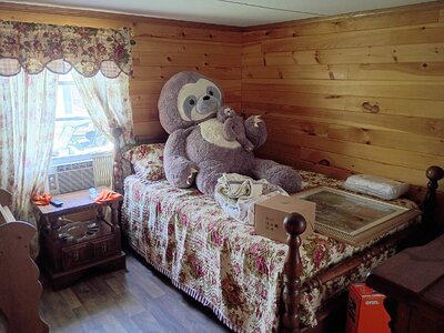 IMG_20250719_131855747_HDR.jpg
