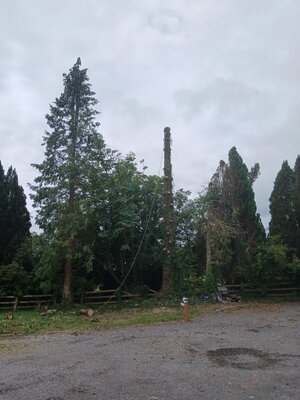 20250722_115601.jpg