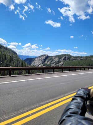 Resized_20250724_121159.jpeg