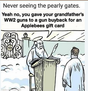 2 gunbuyback and heaven.png