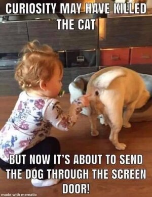 6a92b6796e4a478b55db56853112ab8b_width-600.jpeg