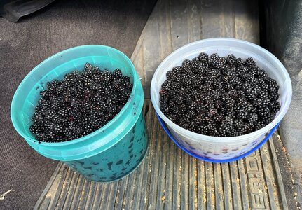 IMG_0232.jpeg