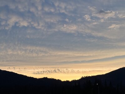 IMG_0217.jpeg