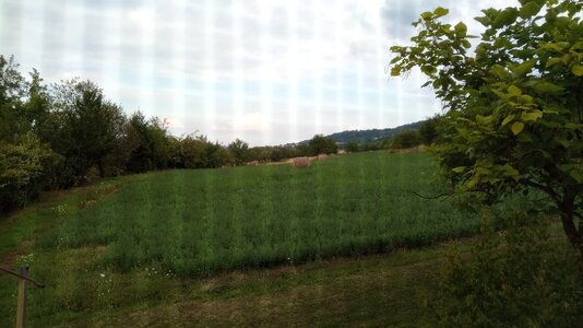 IMG_20250728_182121.jpg