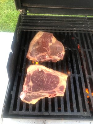 IMG_3282.jpeg