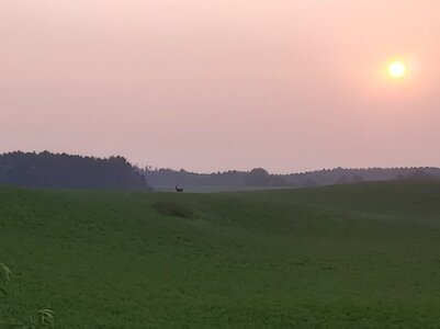 20250802_193321.jpg