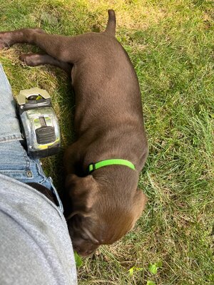 IMG_1943.jpeg