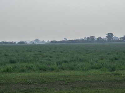 IMG_2111.jpeg