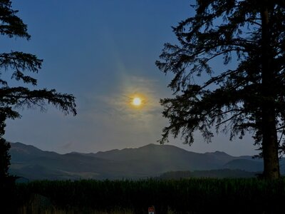IMG_2910.jpeg