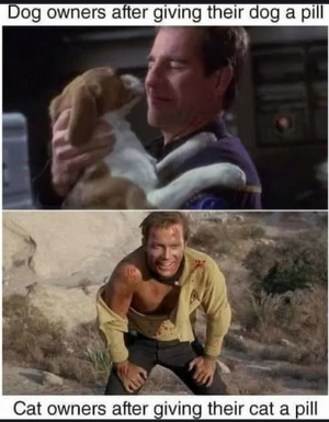 2 cat and dog owners.png