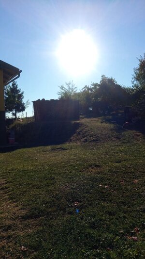 IMG_20250809_074756.jpg