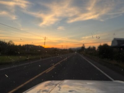 IMG_2921.jpeg