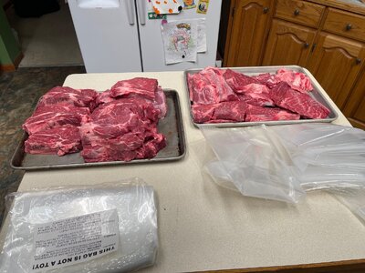 IMG_5958.jpeg