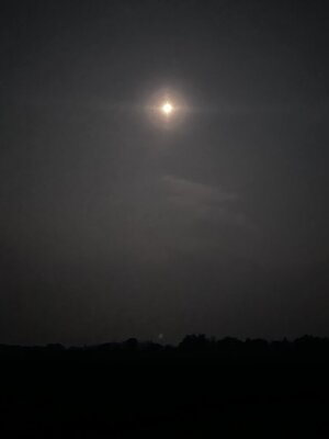 IMG_2117.jpeg