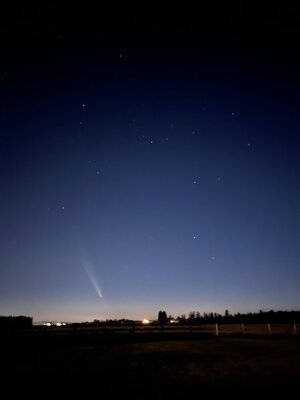 IMG_4071.jpeg