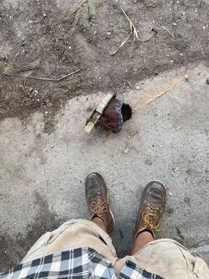 IMG_7970.jpeg