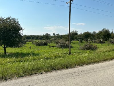 IMG_0003.jpeg