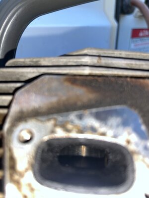 IMG_1429.jpeg
