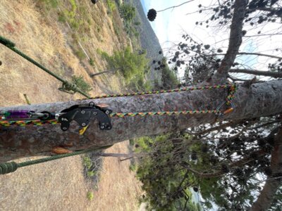 IMG_6133.jpeg