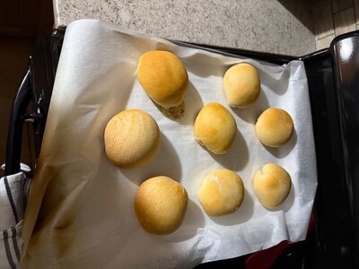 IMG_5861.jpeg