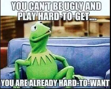 2  femnazi hard to want.png