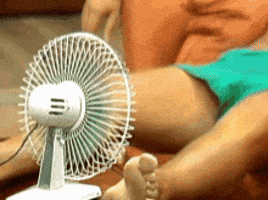 giphy.com-media-8Py8gIK84esy7jkXKO-200.gif