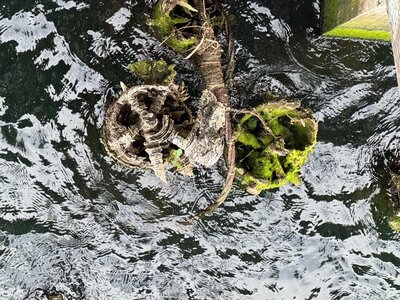IMG_3008.jpeg