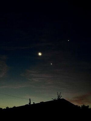 IMG_2139.jpeg