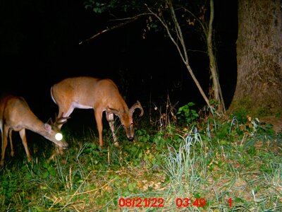 7+6pt 8:21.jpg 7+6pt 8:21.jpg