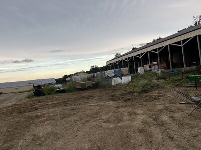 IMG_4358.jpeg